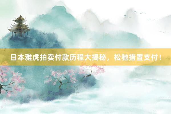 日本雅虎拍卖付款历程大揭秘，松驰措置支付！