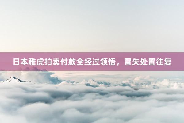 日本雅虎拍卖付款全经过领悟，冒失处置往复