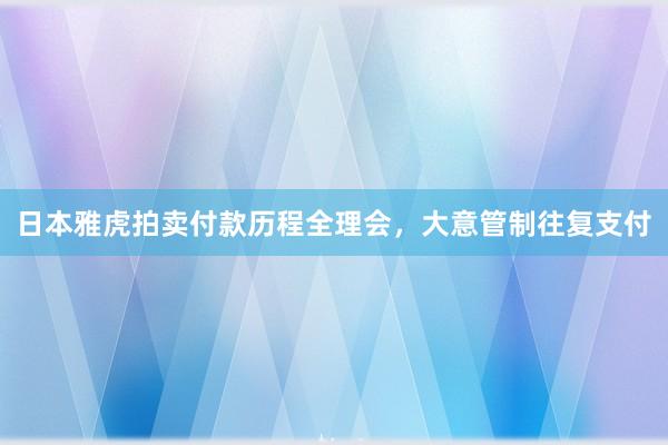 日本雅虎拍卖付款历程全理会，大意管制往复支付