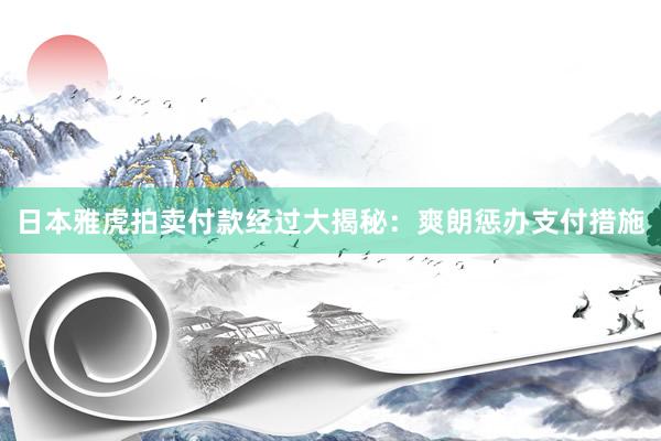 日本雅虎拍卖付款经过大揭秘：爽朗惩办支付措施