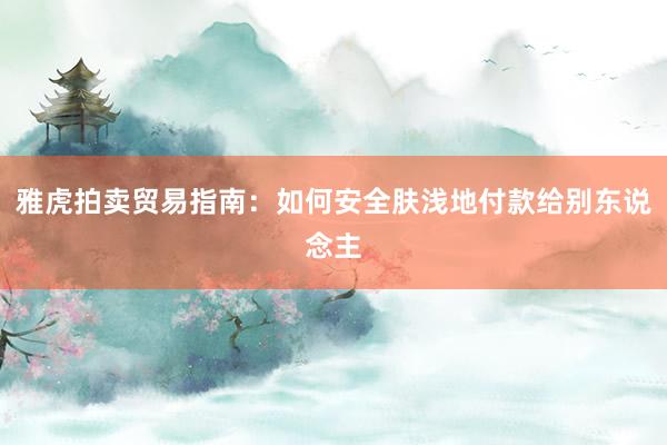 雅虎拍卖贸易指南：如何安全肤浅地付款给别东说念主