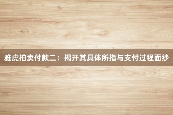 雅虎拍卖付款二:揭开其具体所指与支付过程面纱
