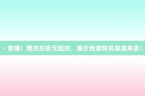 - 惊爆！雅虎拍卖元起拍，廉价捡漏契机跋扈来袭！